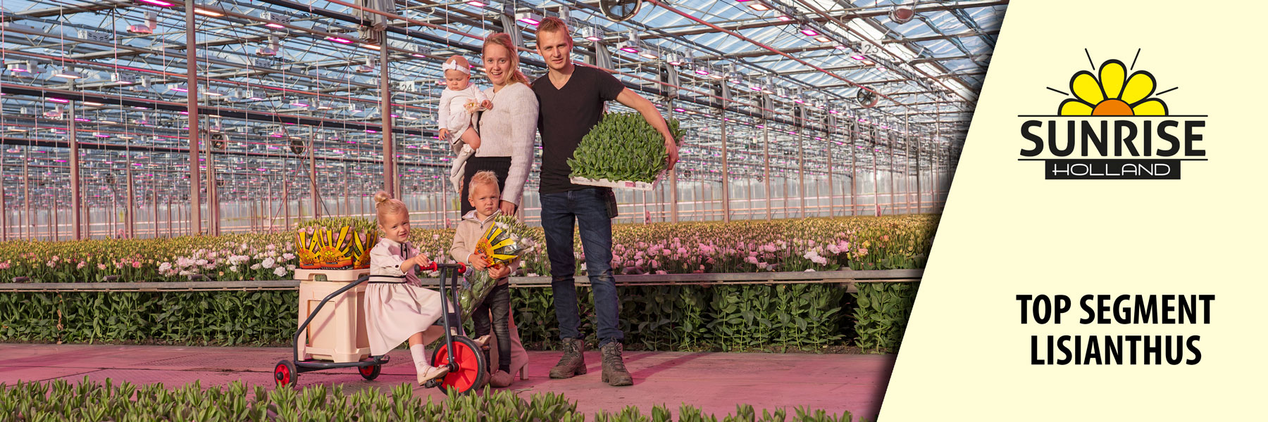 Kwekerij Sunrise Holland